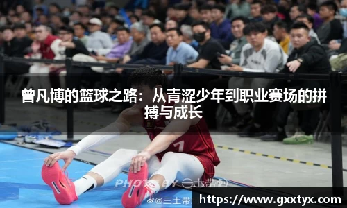 米兰体育官网